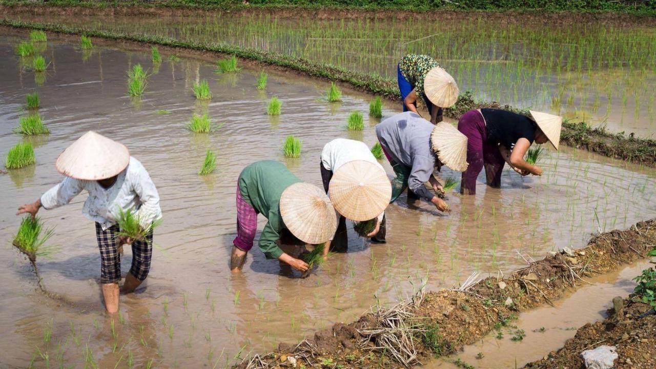 Nha Tan - Mai Chau Homestay And Tours エクステリア 写真