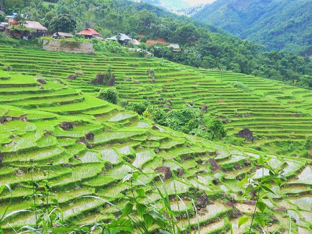 Nha Tan - Mai Chau Homestay And Tours エクステリア 写真