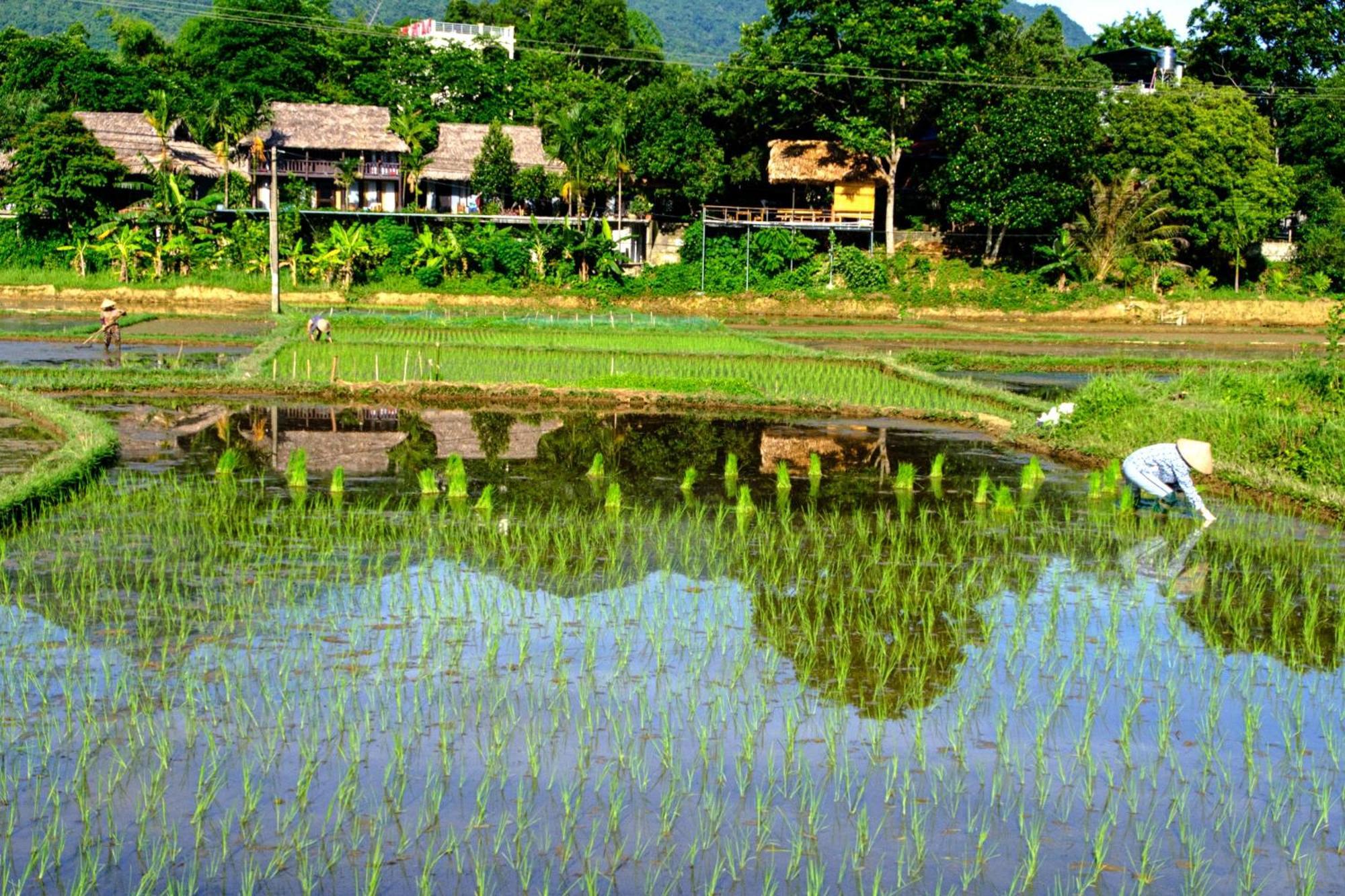 Nha Tan - Mai Chau Homestay And Tours エクステリア 写真