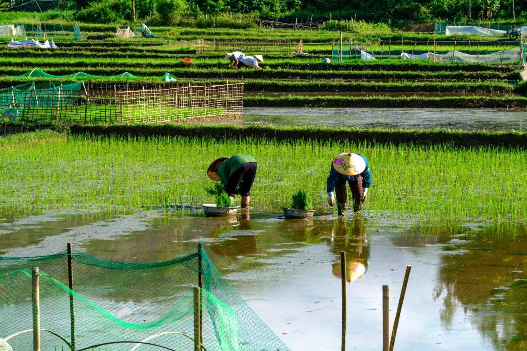 Nha Tan - Mai Chau Homestay And Tours エクステリア 写真