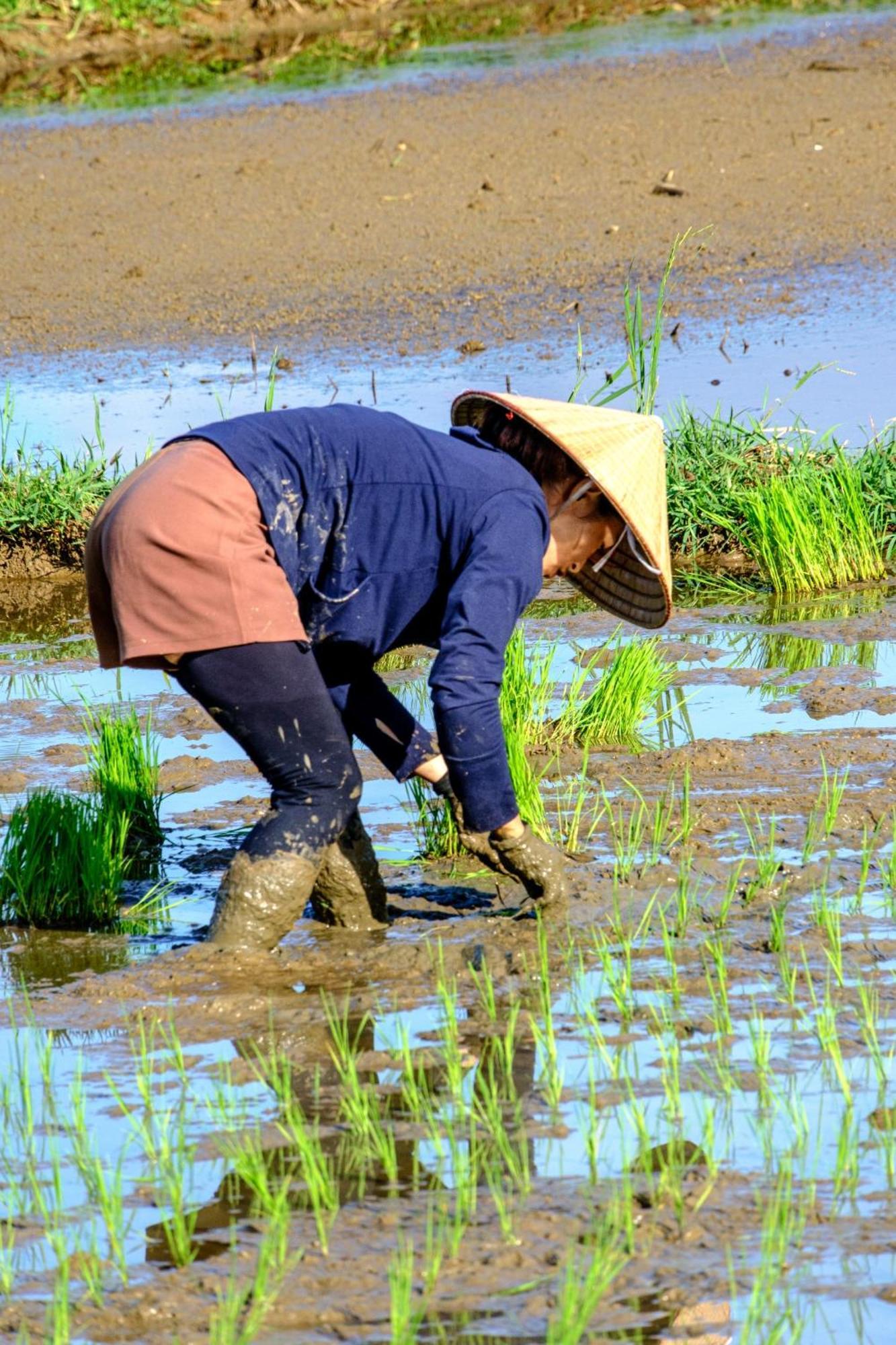 Nha Tan - Mai Chau Homestay And Tours エクステリア 写真